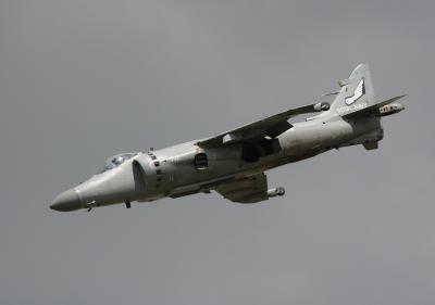 u13/idhardy/medium/3313150.CRW_6500.jpg