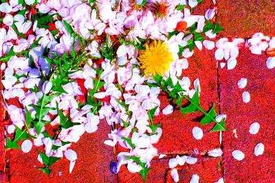 Spring Colors #2