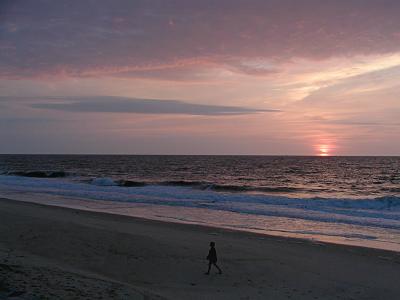 P7262350a.jpg