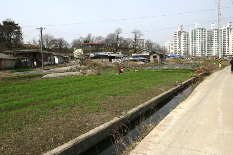 224_2464.jpg