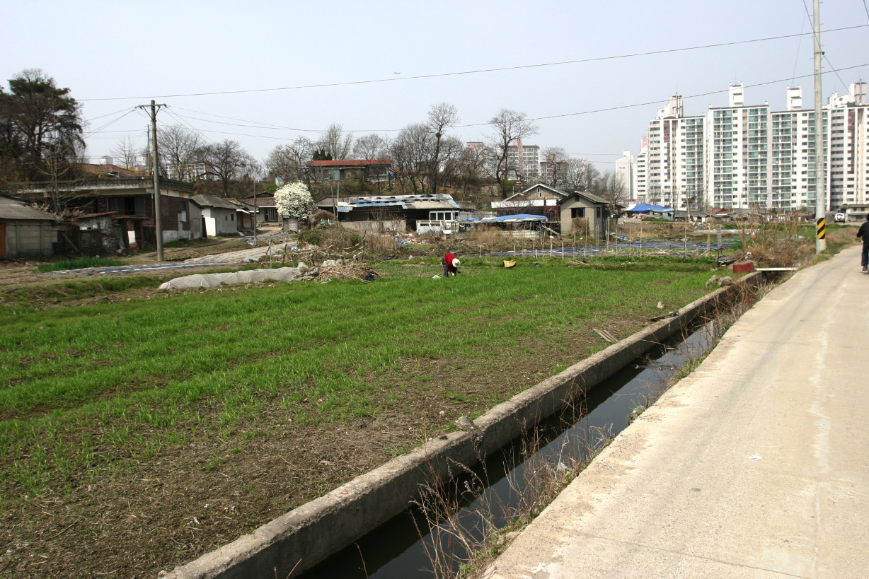 224_2464.jpg