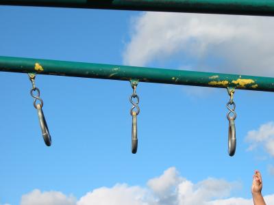 Green are the Monkey Bars