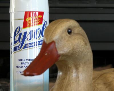 duck-out-of-focus-copy.jpg