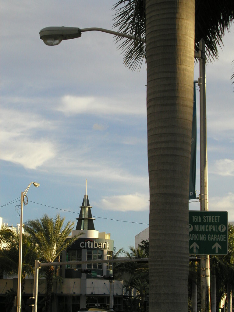P1013583.JPG