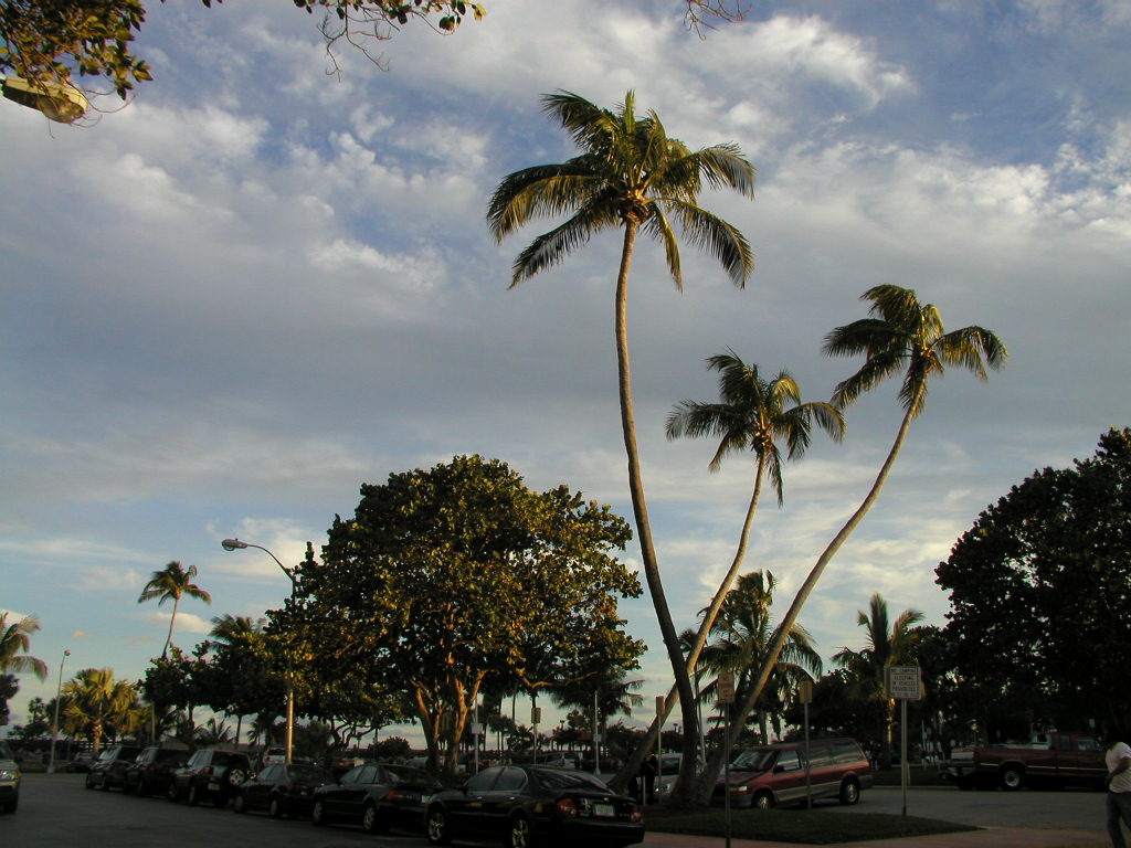 P1013587.JPG