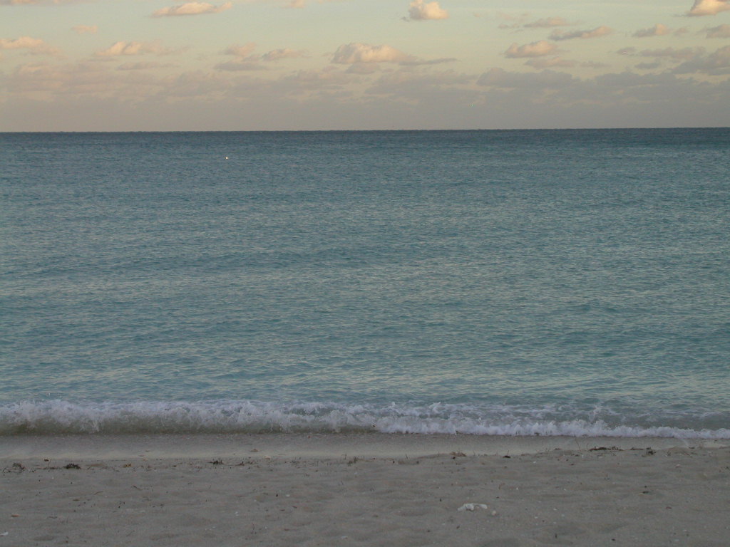 P1013596.JPG