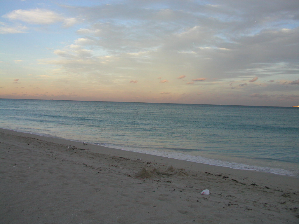 P1013604.JPG