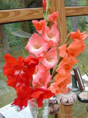 u13/jcarter/medium/3339903.MyGlads.jpg