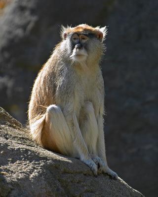 CRW_0006-1.jpg