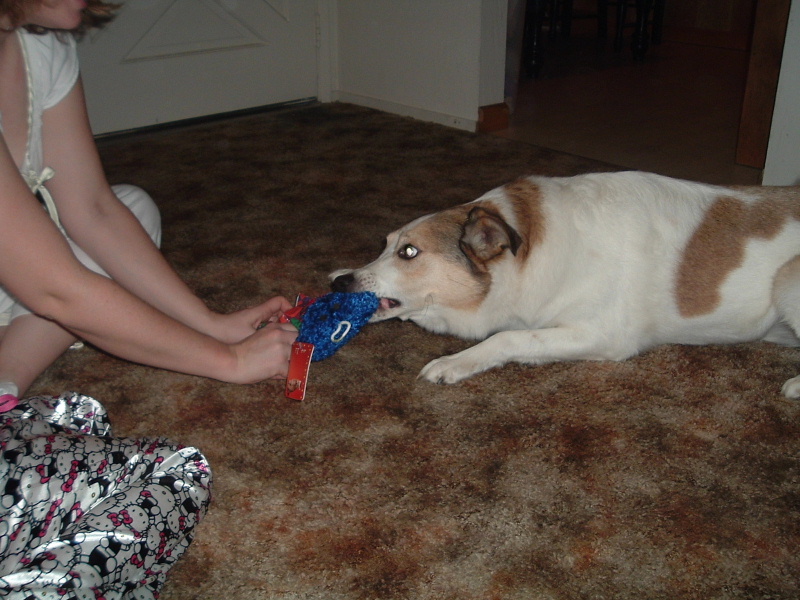 tucks_newtoy.JPG