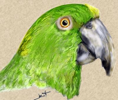 Parrot digitally enhanced