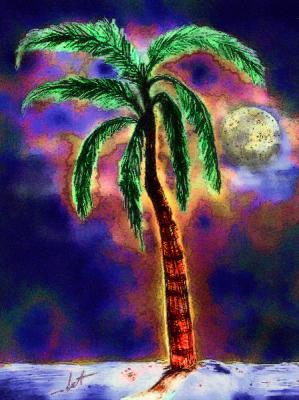 Palm-tree-at-midnight
