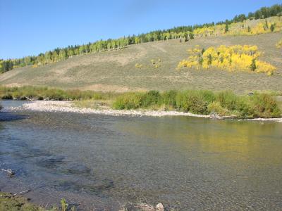 Greys River scenery