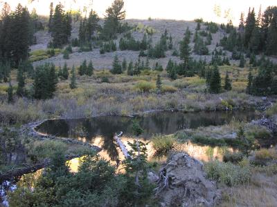 Beaver Pond on La Barge Creek