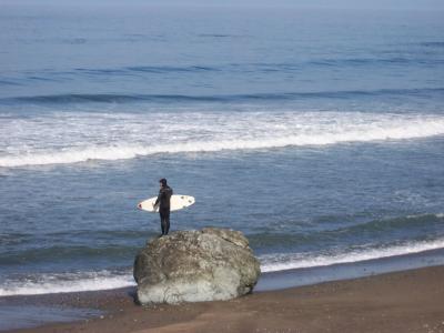 Surfer Looking For Waves.jpg