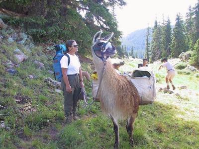 Fellow Hikers, Llama...Look At Dales Step Dancing, Behind Me