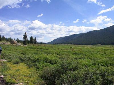 Weminuche Pass, Looking North, Elev 13,600 ft.