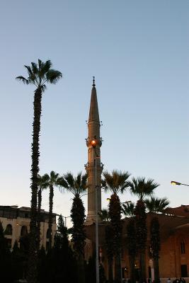 IMGP0709.jpg