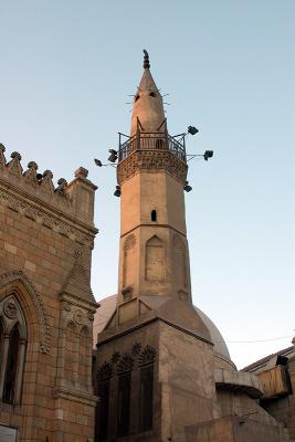 IMGP0711.jpg