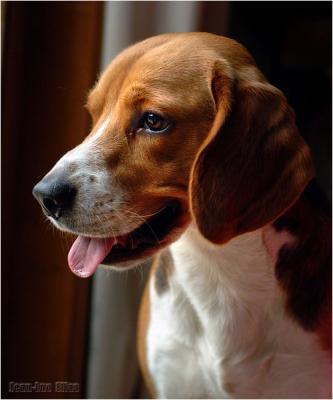 Romeo