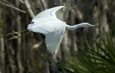 DSC_4056.jpg