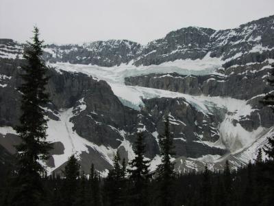 Crowfoot Glacier