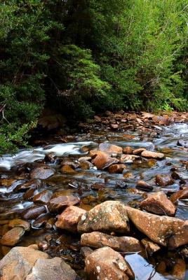 On the way to Tahune Air Walk