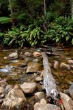 On the way to Tahune Air Walk