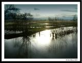 Port Meadow, Oxford, England