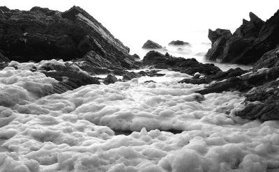 DSC_1813090105Espuma.jpg
