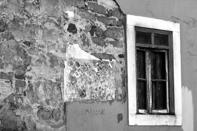 DSC_1735-09-01-05-Micose.jpg