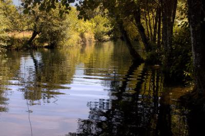 Aguarela.jpg