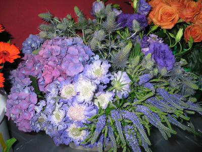 IMG_1154.JPG
