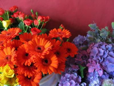 IMG_1157.JPG