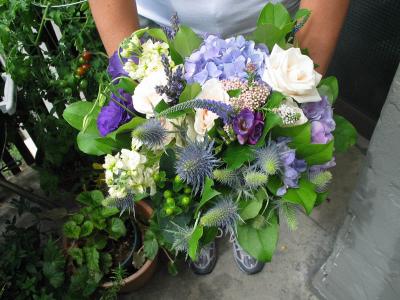 IMG_1175.JPG