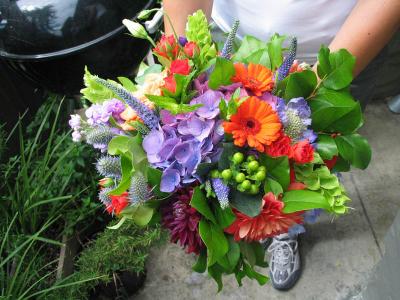 IMG_1183.JPG