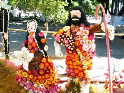 people made from floras everlasting (straw flowers)