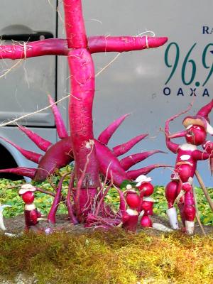 cross & very happy radishes