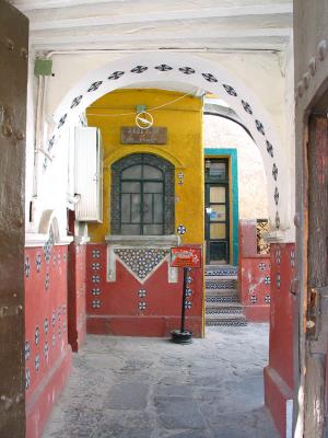 entry para las ranas