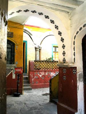 entry para las ranas