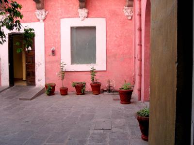 rojo and pots