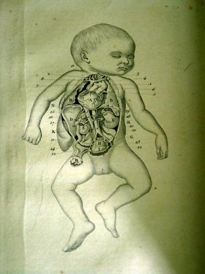 antique book display, baby anatomy (regional museum)