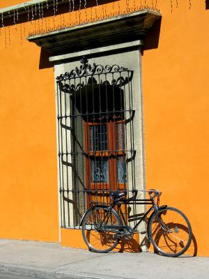 in honor of robert hass' yellow bicycle poem
