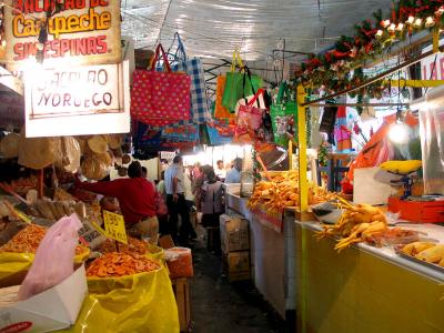 bags and more dead yellow chickens