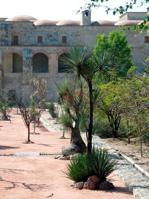 desert botanical garden