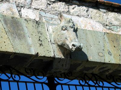 u13/josefiend/medium/38549668.DocumentsandSettingsjlowryMyDocumentsMyPicturesMyPicturesMexico_oaxaca2IMG_1457.jpg