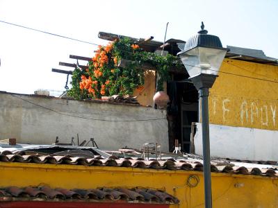 store rooftop