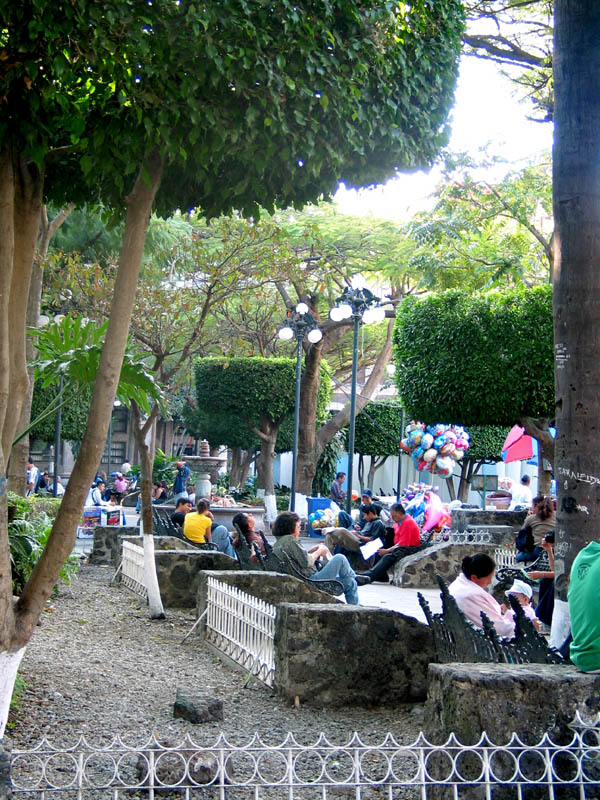 zocolo