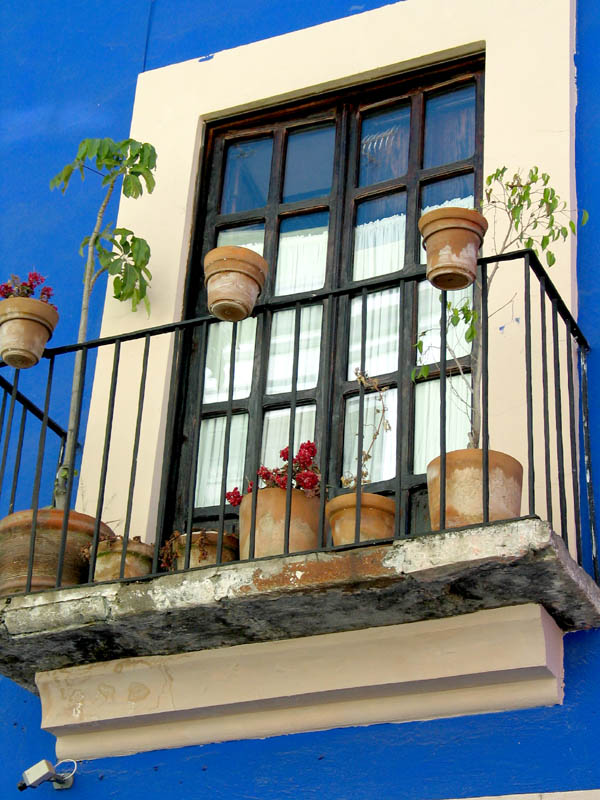 blue window