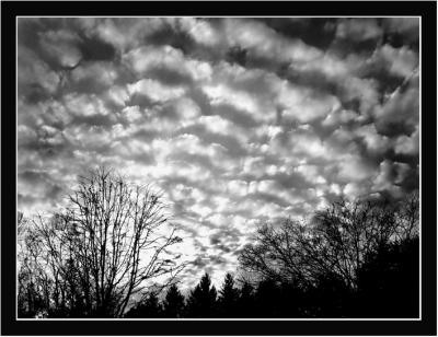 January-09-05  Winter Sky
